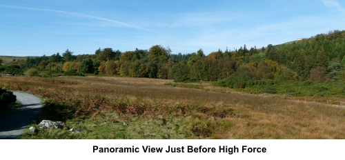 View near High Force