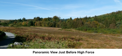 View near High Force