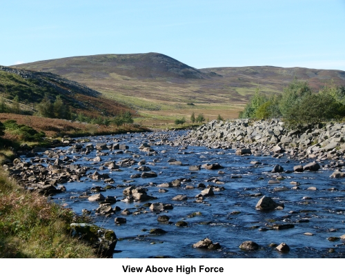 View above High Force