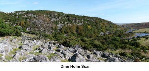 Dine Holm Scar