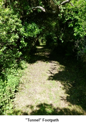 Tunnel Footpath