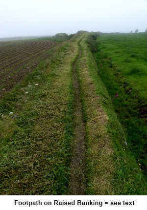 Footpath on raised banking