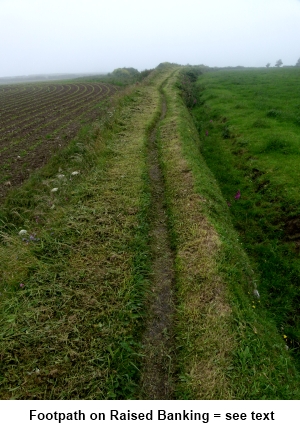 Footpath on raised banking