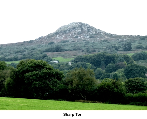 Sharp Tor