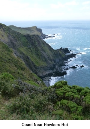 Coast at Hawkers Hut