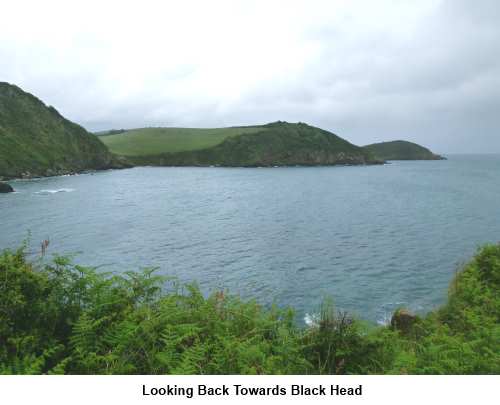 Looking towards Black Head