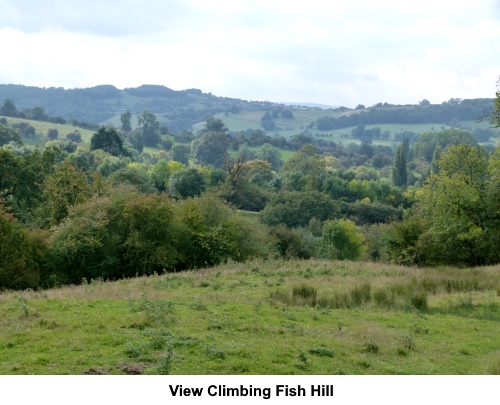 The view when climbing Fish Hill.