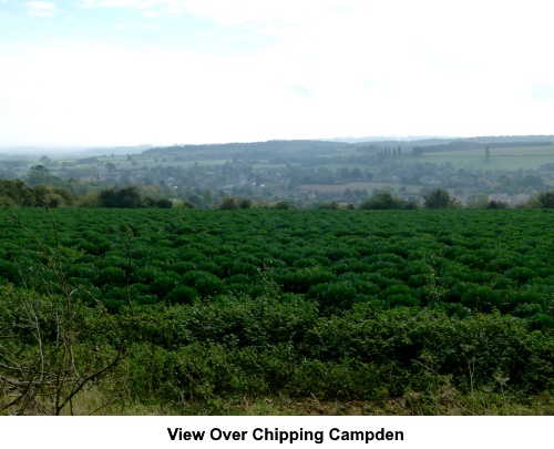 A view over Chipping Campden.