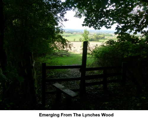 Emerging from The Lynches wood.