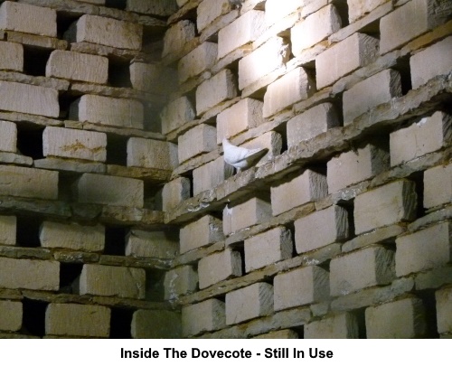 Nesting compartments inside Naunton Doveote.