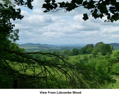 View from Lidcombe Wood