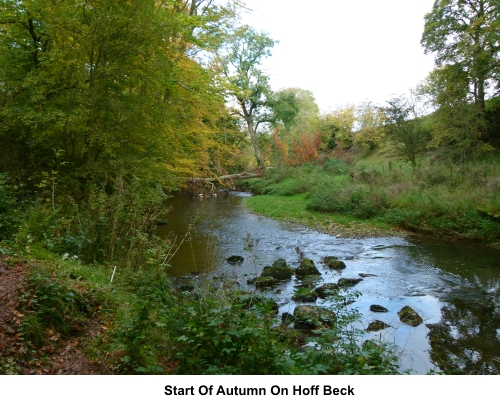 Start of autumn on Hoff Beck