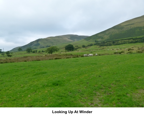 Looking up to Winder