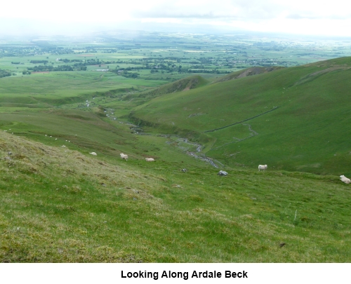 Looking along Ardale Beck