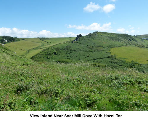 View inland near Soar Mill Cove