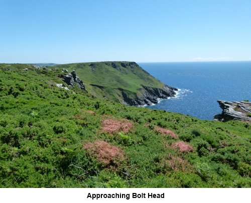 Approaching Bolt Head