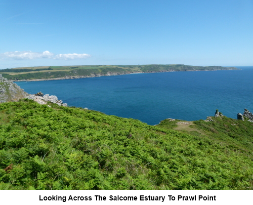 Looking across Salcombe Estuary to Prawle Point