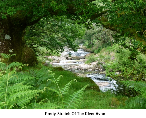 A pretty section of the River Avon