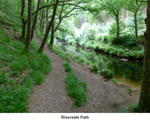 Teign Valley riverside path