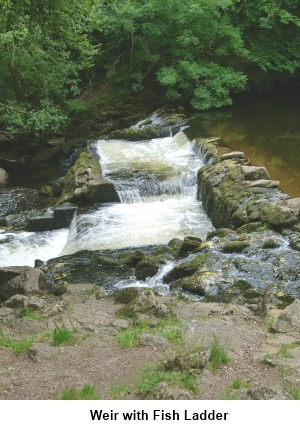 Weir with fish ladder