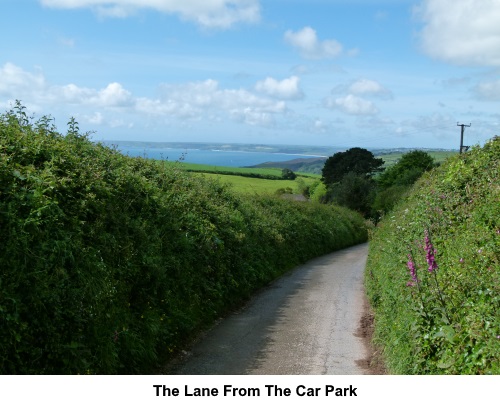 The land down to the coast from the car park.