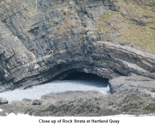 Rock strata at Hartland Quay