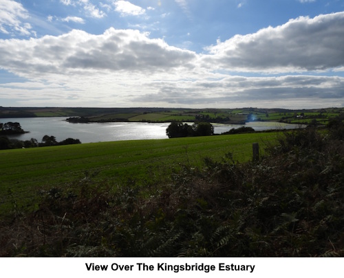 Looking over the Kingsbridge Estuary.