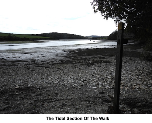 The tidal section of the walk.
