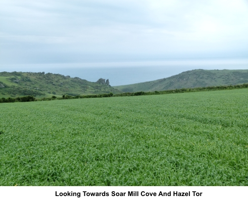 View to Soar Mill Cove and Hazel Tor