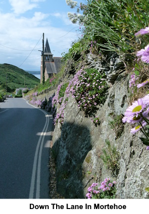 Down the lane at Mortehoe.