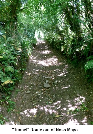 Footpath at Noss Mayo