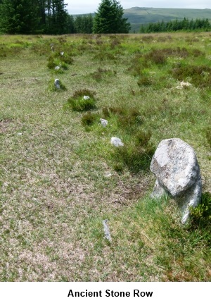 Ancient stone row