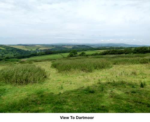 View to Dartmoor