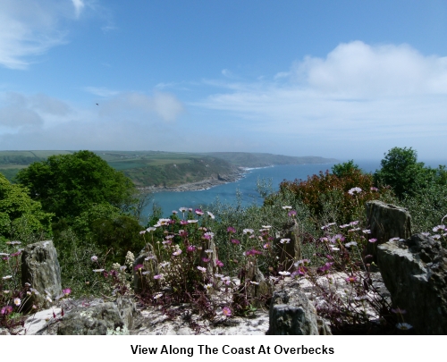 View along the coast from Overbecks.