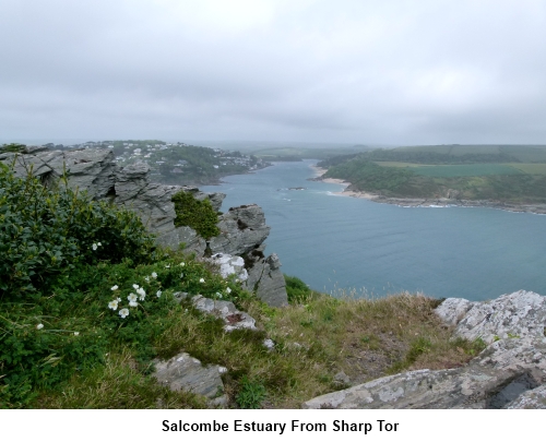 The Salcombe Estuary from Sharp Tor.