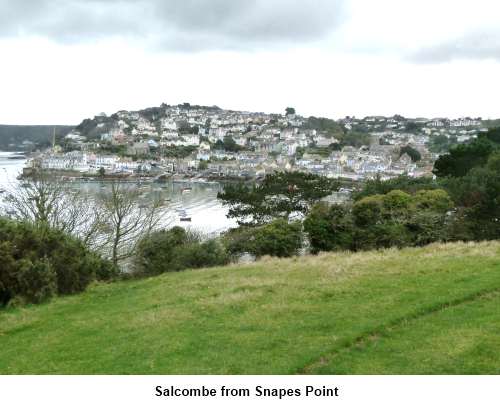 Salcombe from Snapes Point