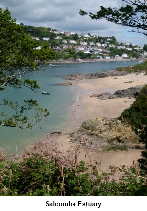 Salcombe Estuary