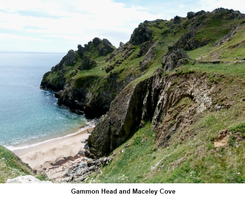 Gammon Head and Maceley Cove