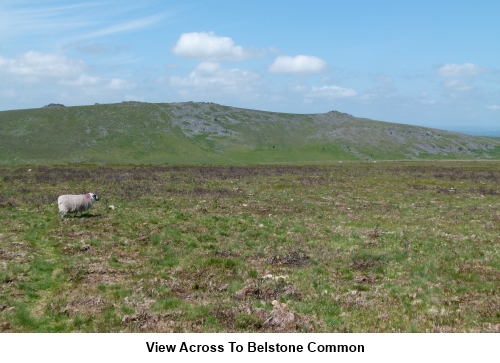 Belstone Common