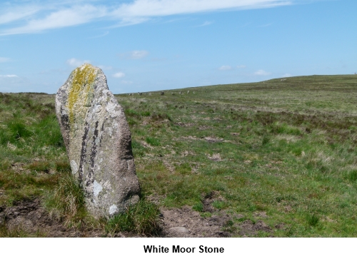 White Moor Stone