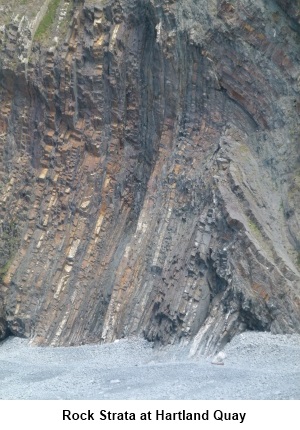 Rock strata at Hartland Quay