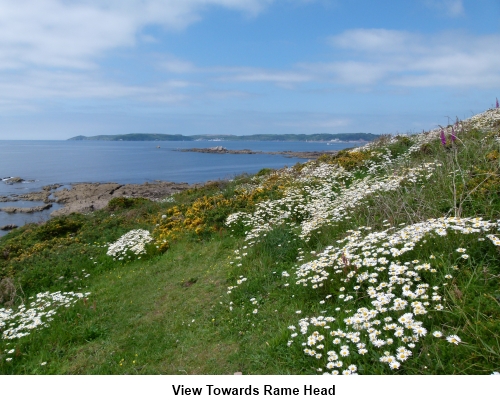 View to Rame Head