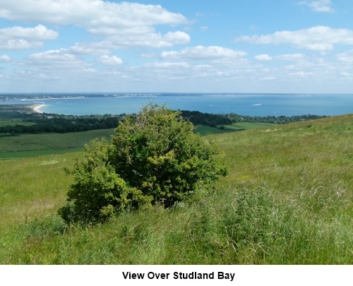 View over Studland Bay