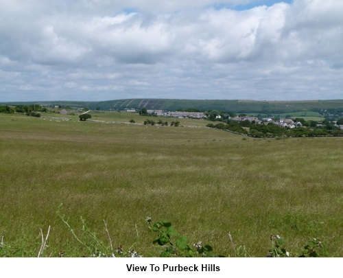 View to the Purbeck Hills