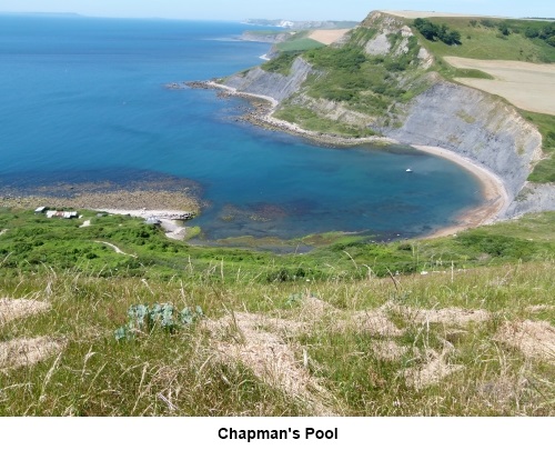 Chapman's Pool