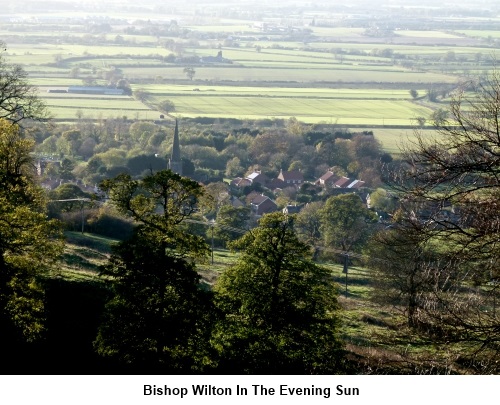 Bishop Wilton in the evening sun