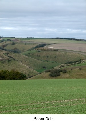 Scoar Dale