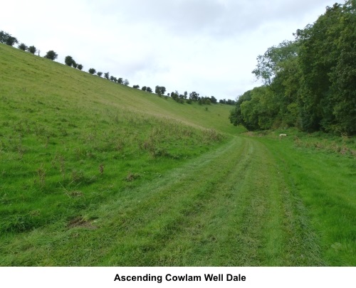 Ascending Cowlam Well Dale