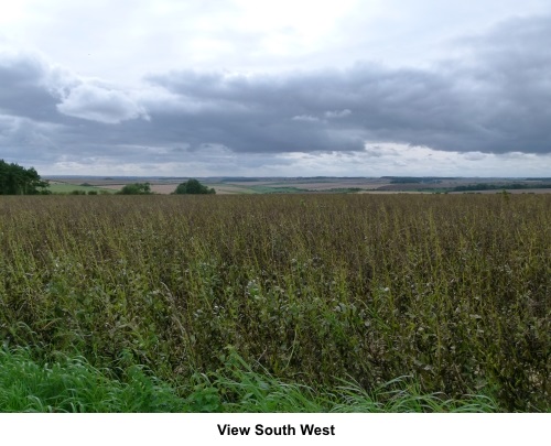 View South West