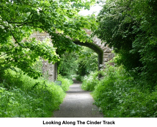 Looking along the Cinder Track.